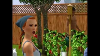 An Bet Fèineachd-17 CHINKEN Ùr